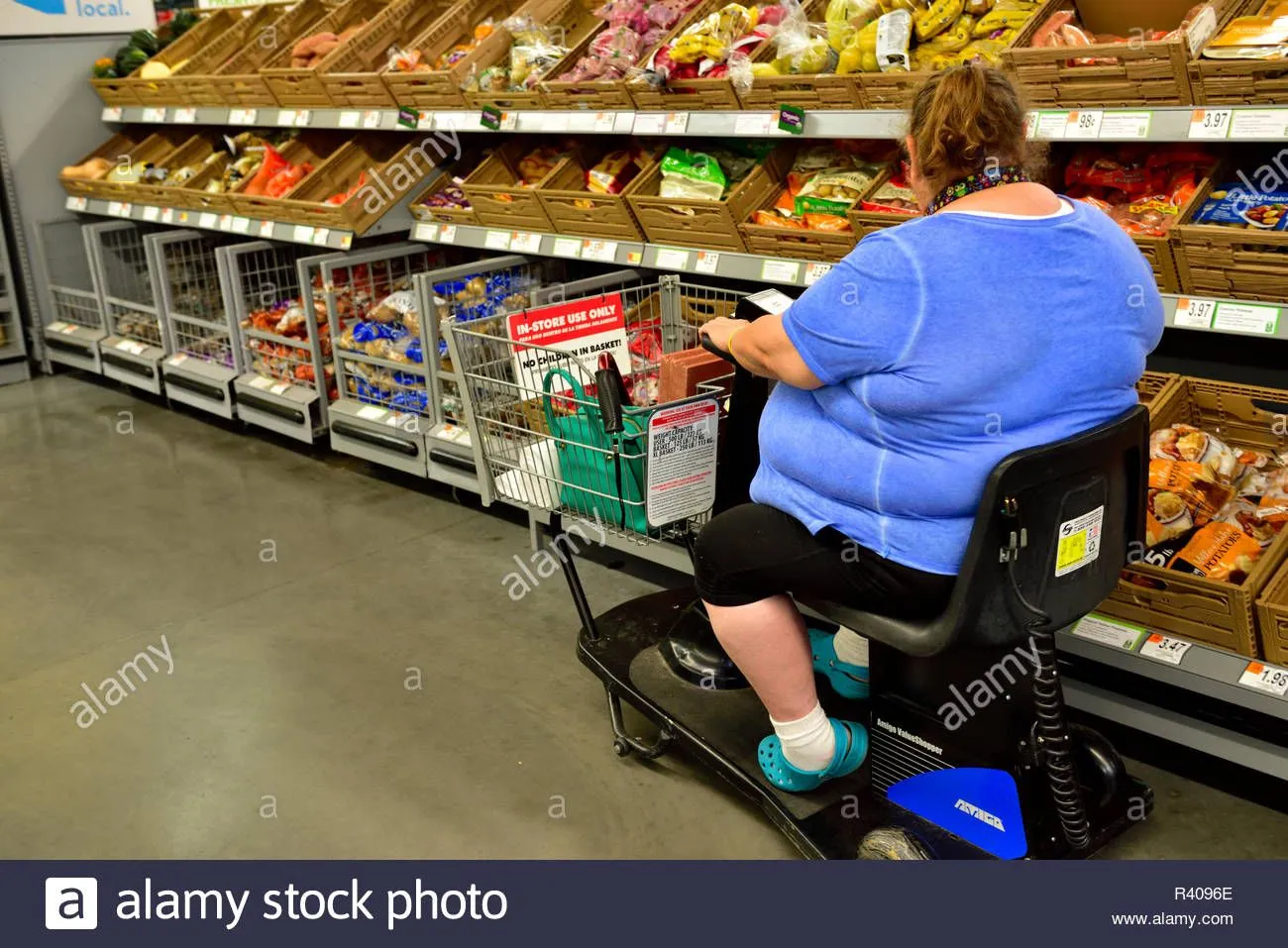 fat.webp