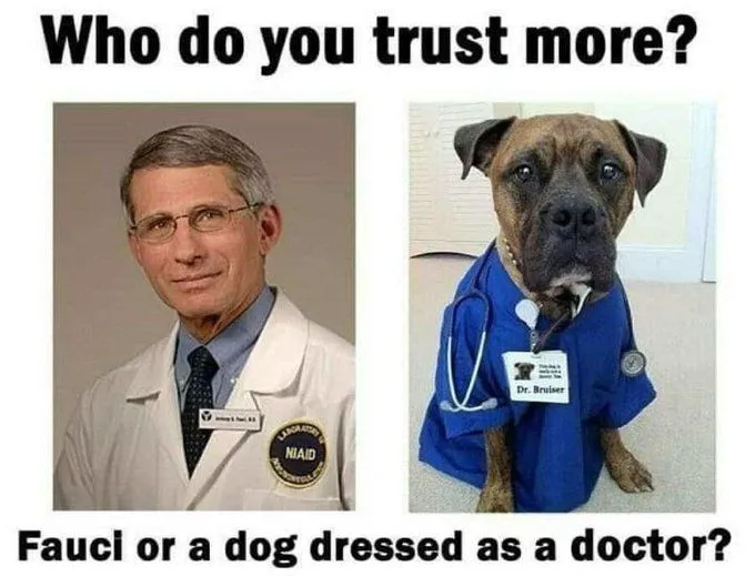 fauci dog.webp