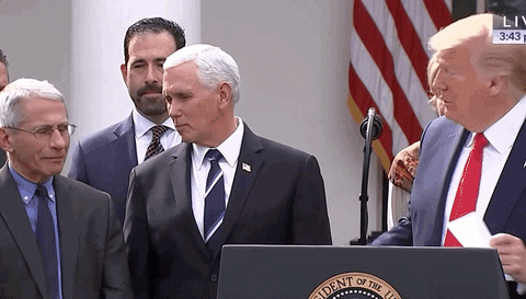 Fauci.gif