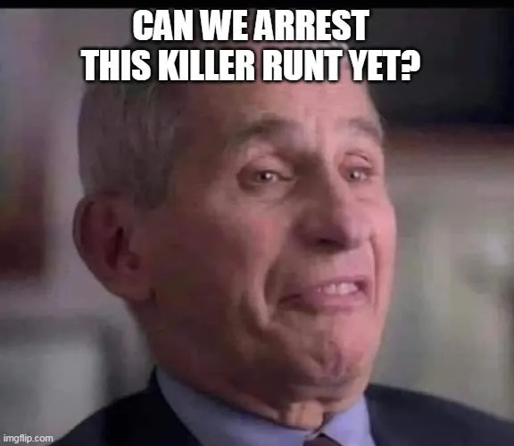 fauci midget arrest.webp