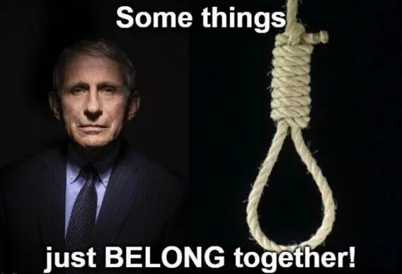 fauci together.webp