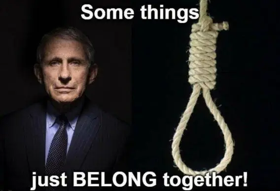 fauci together.webp
