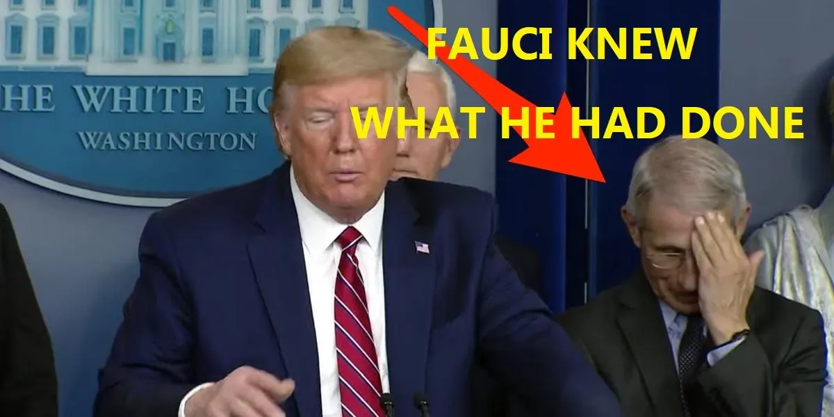 fauciknewwhathehaddonethewholetime22.webp