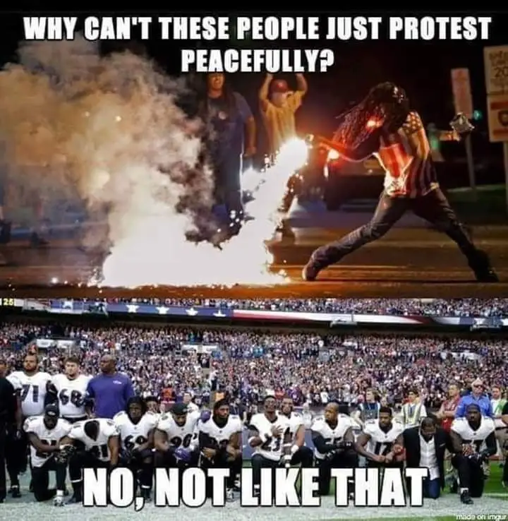 FB_IMG_1590856017514.webp