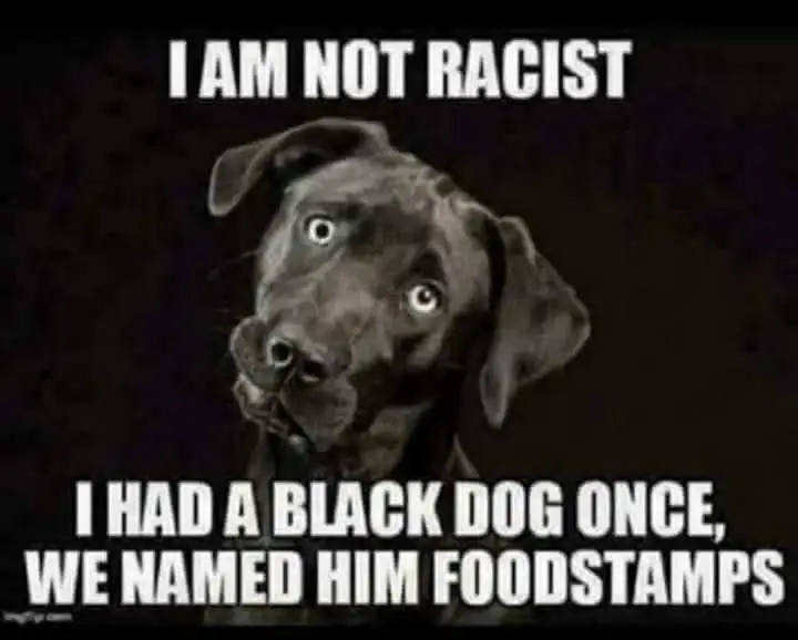FB_IMG_1592811132603.webp