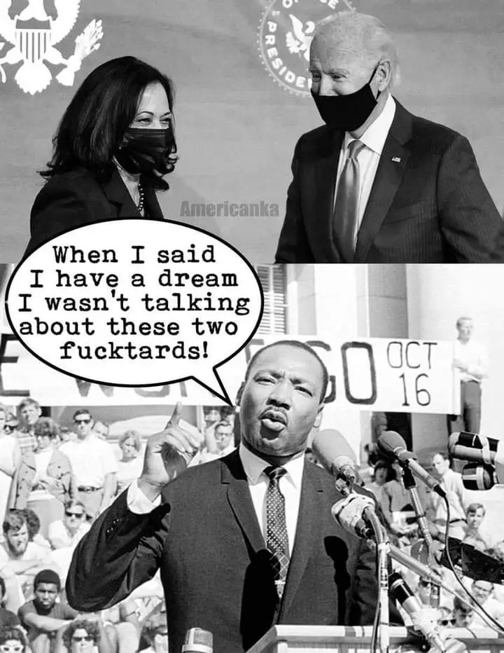 FB_IMG_1642461877518.webp