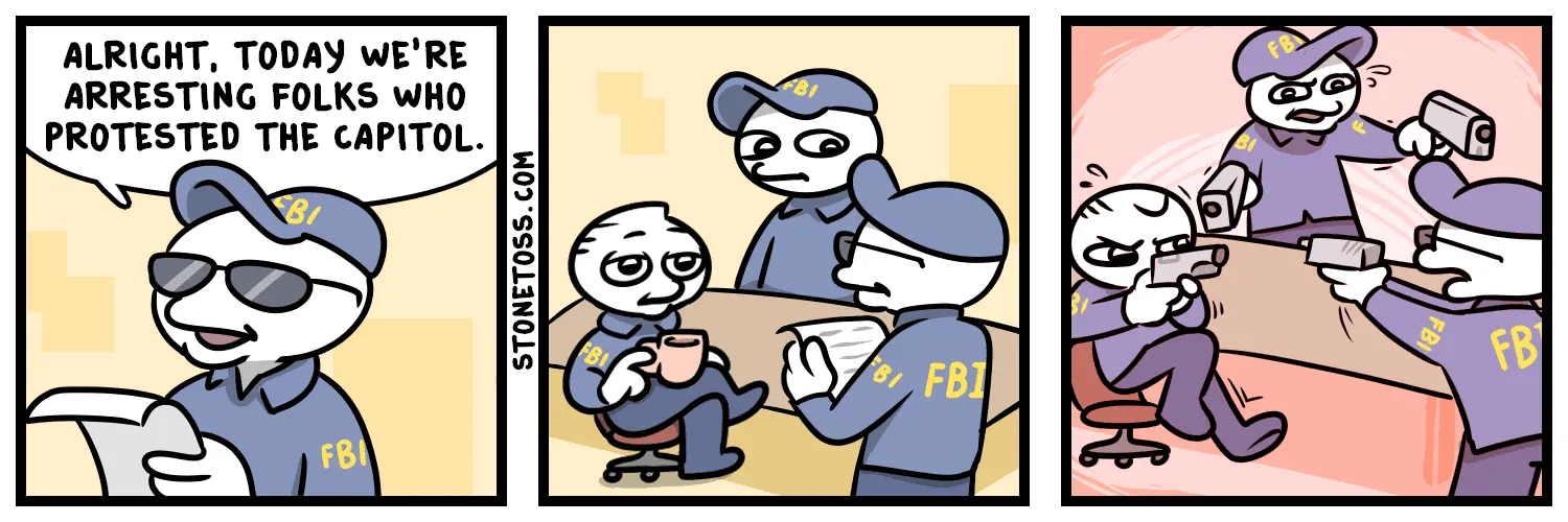 fbi-capitol-protest-stonetoss-comic.webp