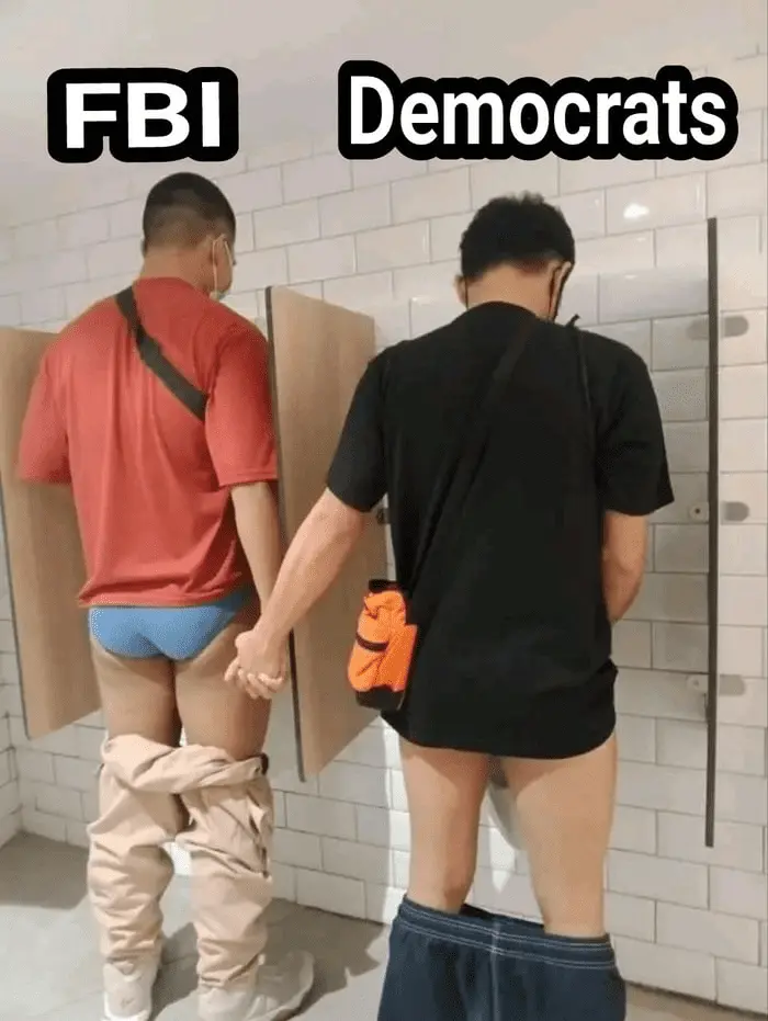fbi democrats.webp