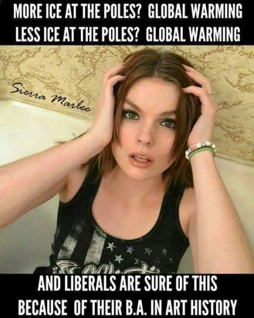 fd8dc4295252b02d630dcf49791795bd--stupid-liberals-liberal-logic.webp