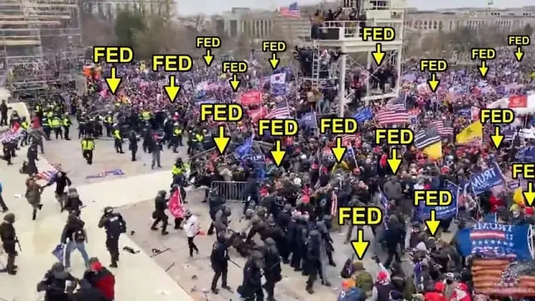 Feds.webp