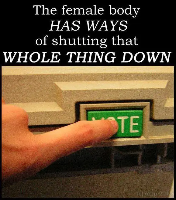 female body vote.webp