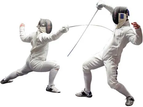 fencing.webp