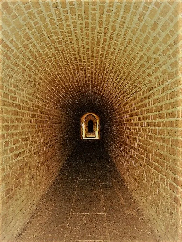 Fernandina 024 - Copy (600x800) - Copy.webp