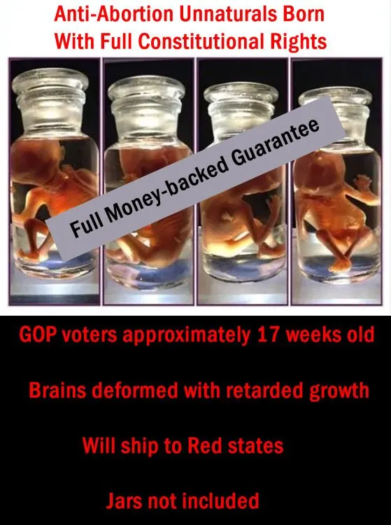 fetus 17 jars gop voters 1.webp