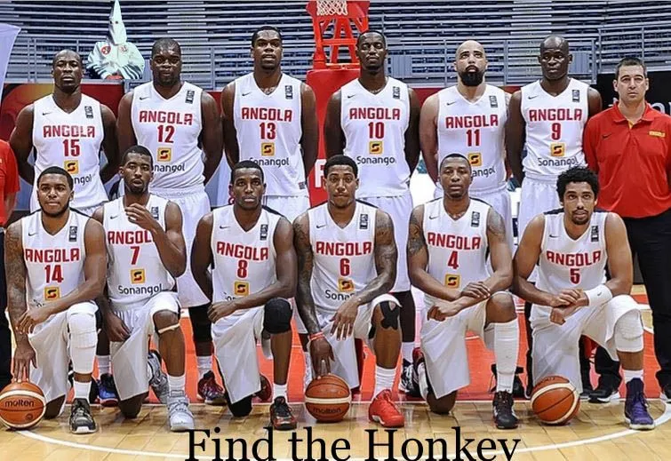 find the honkey.webp