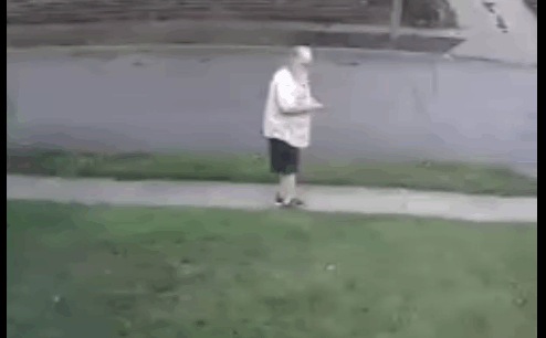 fireworks 150.gif