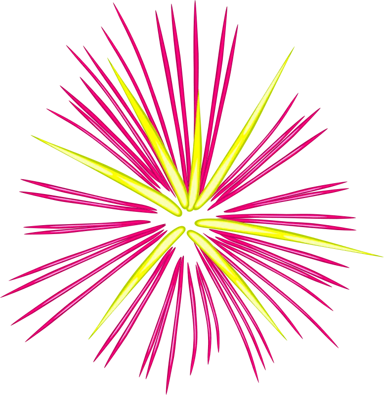fireworks2.webp