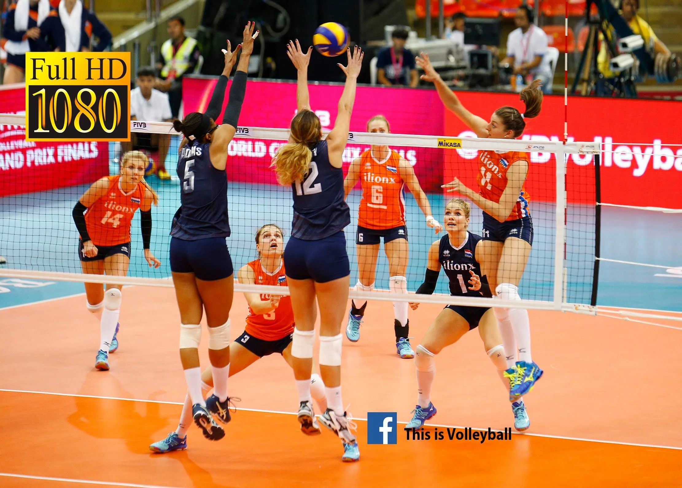 fivb.webp