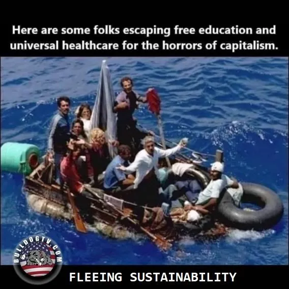 Fleeing sustainability.webp