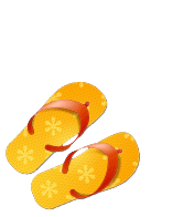 flipflop.gif