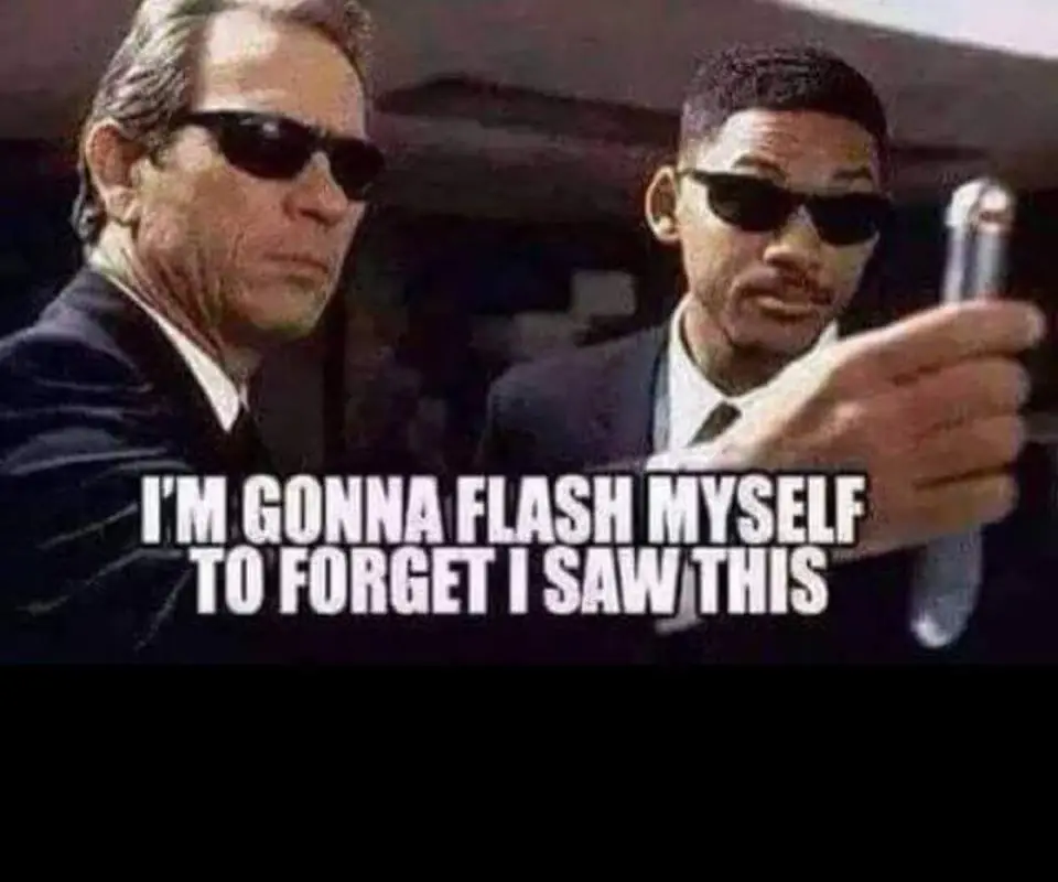 flshything.webp