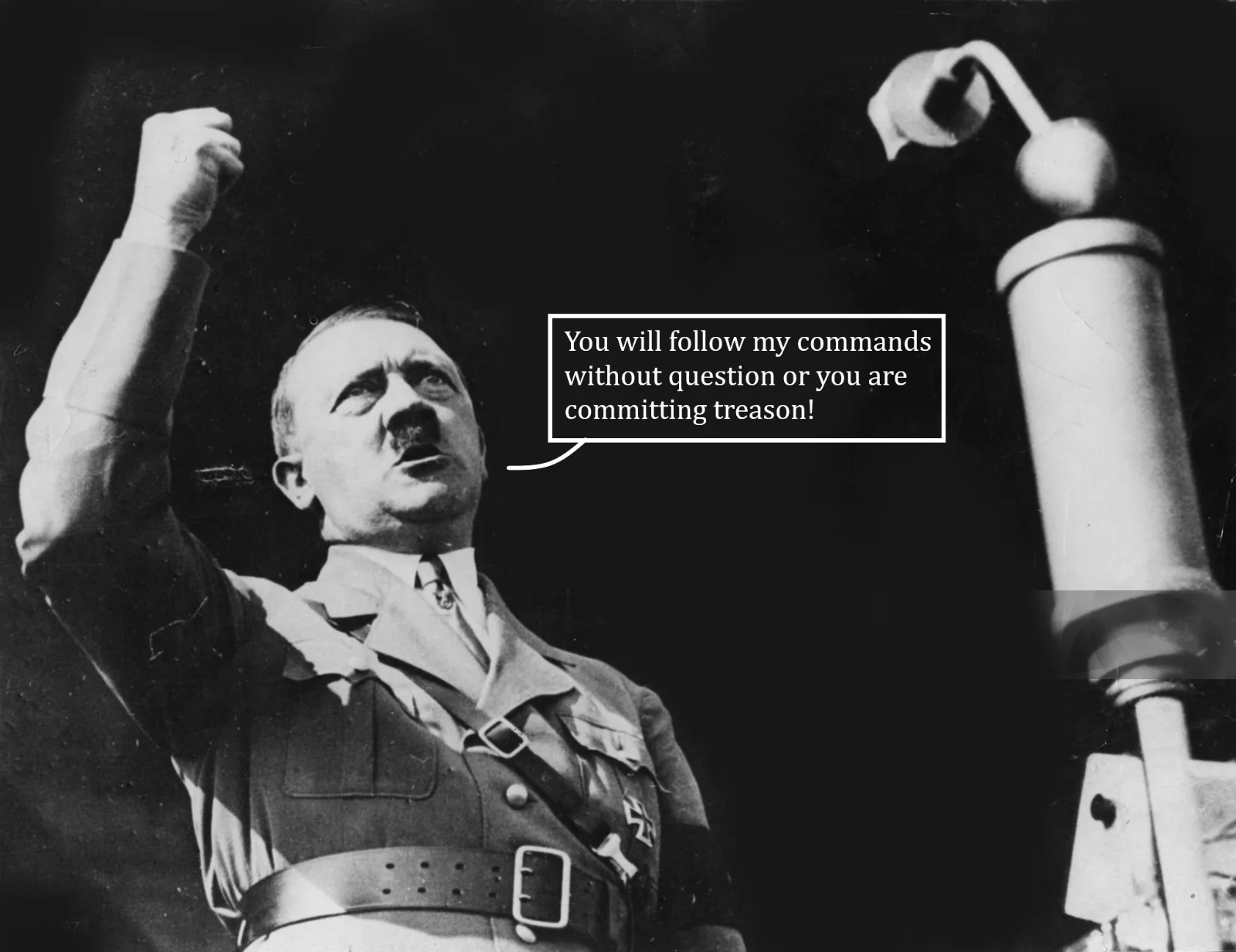 follow my commands contrast.webp