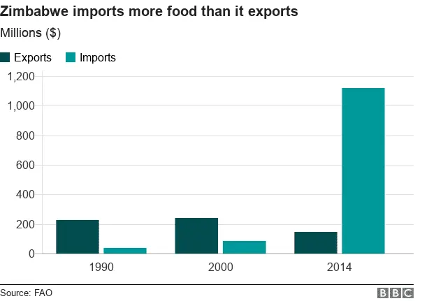 foodimportexport.webp