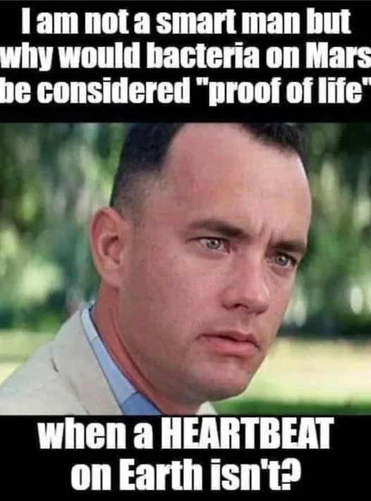 forrest heart beat.webp