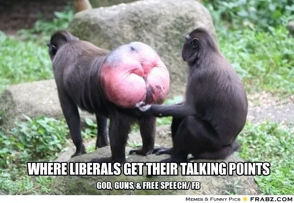 frabz-Where-Liberals-get-their-talking-points-God-Guns--Free-speech-fb-04f019.webp