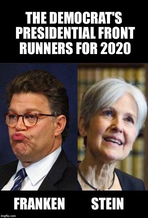 franken stein 2020.webp