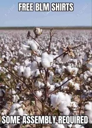 Free BLM tee shirts.webp