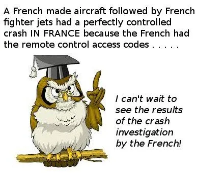 frenchowl.webp