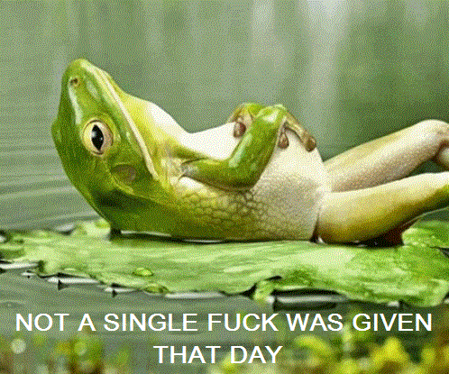 Frog-On-Lily-Pad.gif