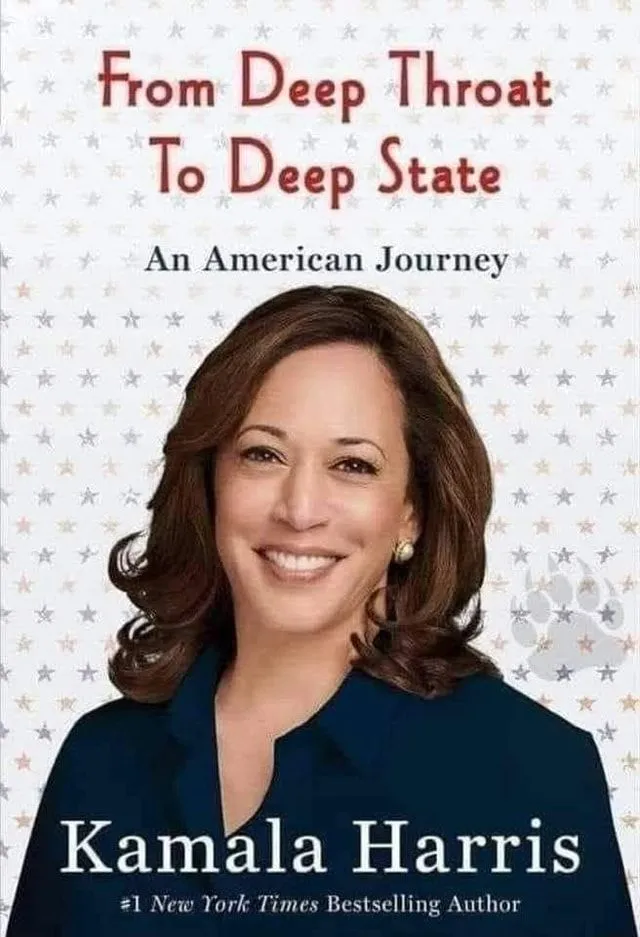 from-deep-throat-state-american-journey-kamala-harris-times-bed32a460dbcf361-34a82450a3dd562e.webp
