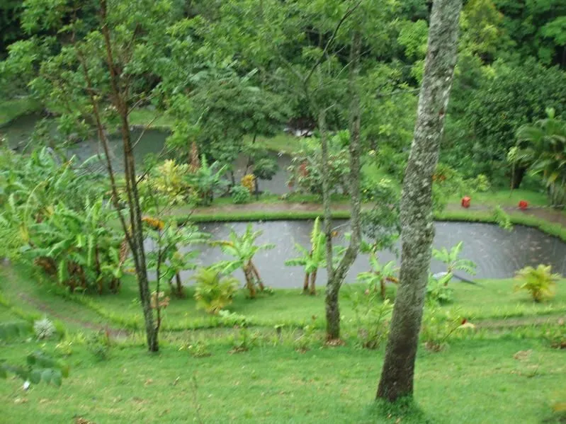 frontpond.webp