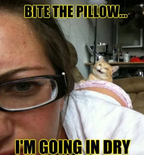 funny-captions-11.webp