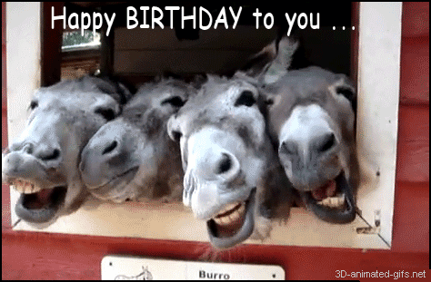 funny happy Birthday to you ...photo pics ecards gif movies gifs animation animated .gif .gif