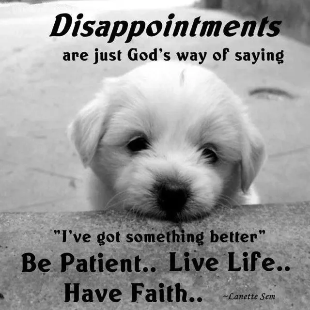 funny-life-quotes-and-sayings-7.webp