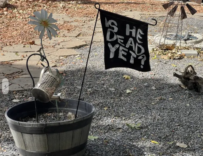 G01w9tAXUAAvERP (1).webp