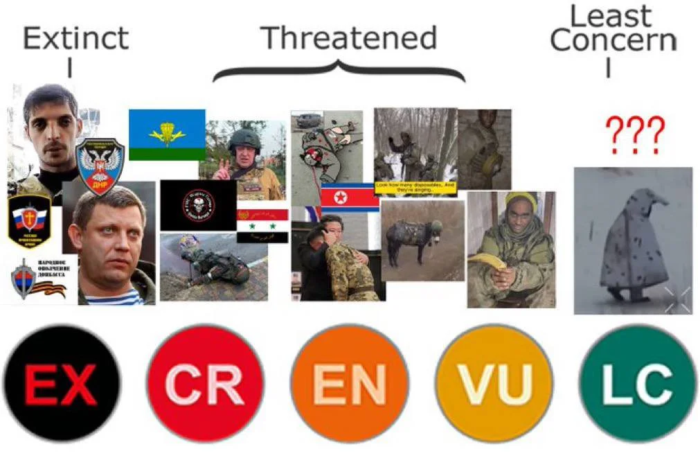 g_3nxq7buaig1ko-webp.1221399