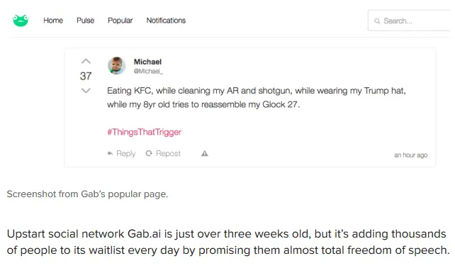Gab screen.webp