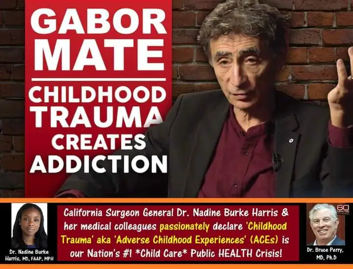 Gabor_Mate_Addiction.webp
