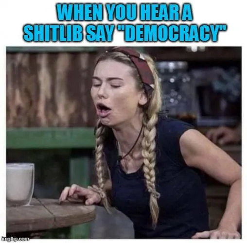gag when shitlib says democracy.webp