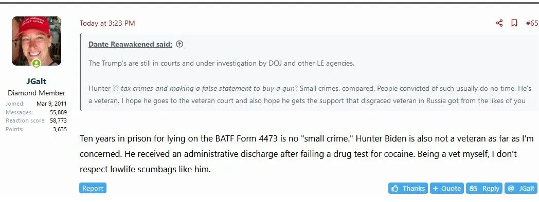 galt lying veterans.webp