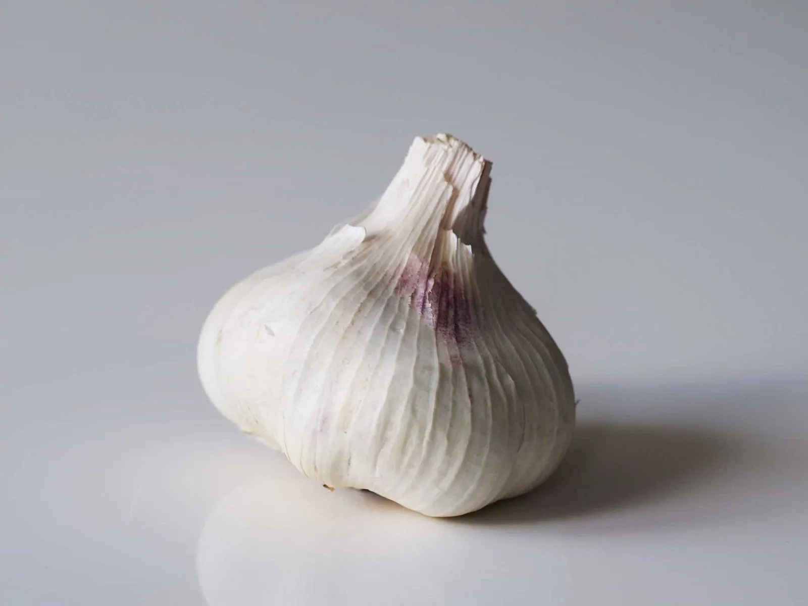 garlic_edited-scaled.webp