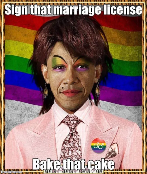gay-barack-obama-91372.webp