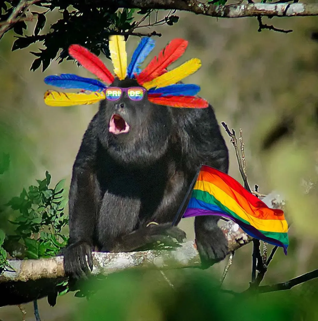 gay howler cropped.webp