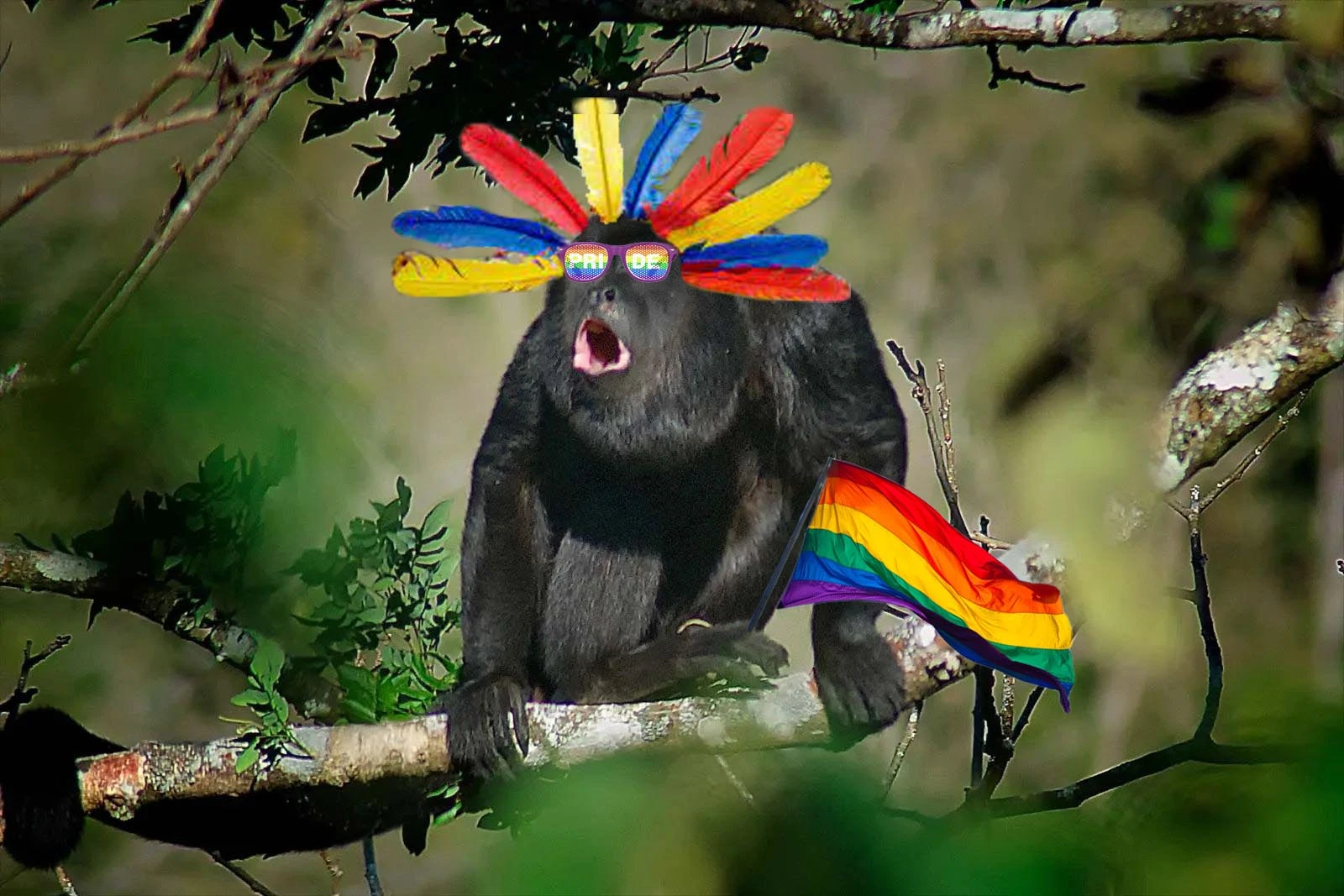 gay howler.webp