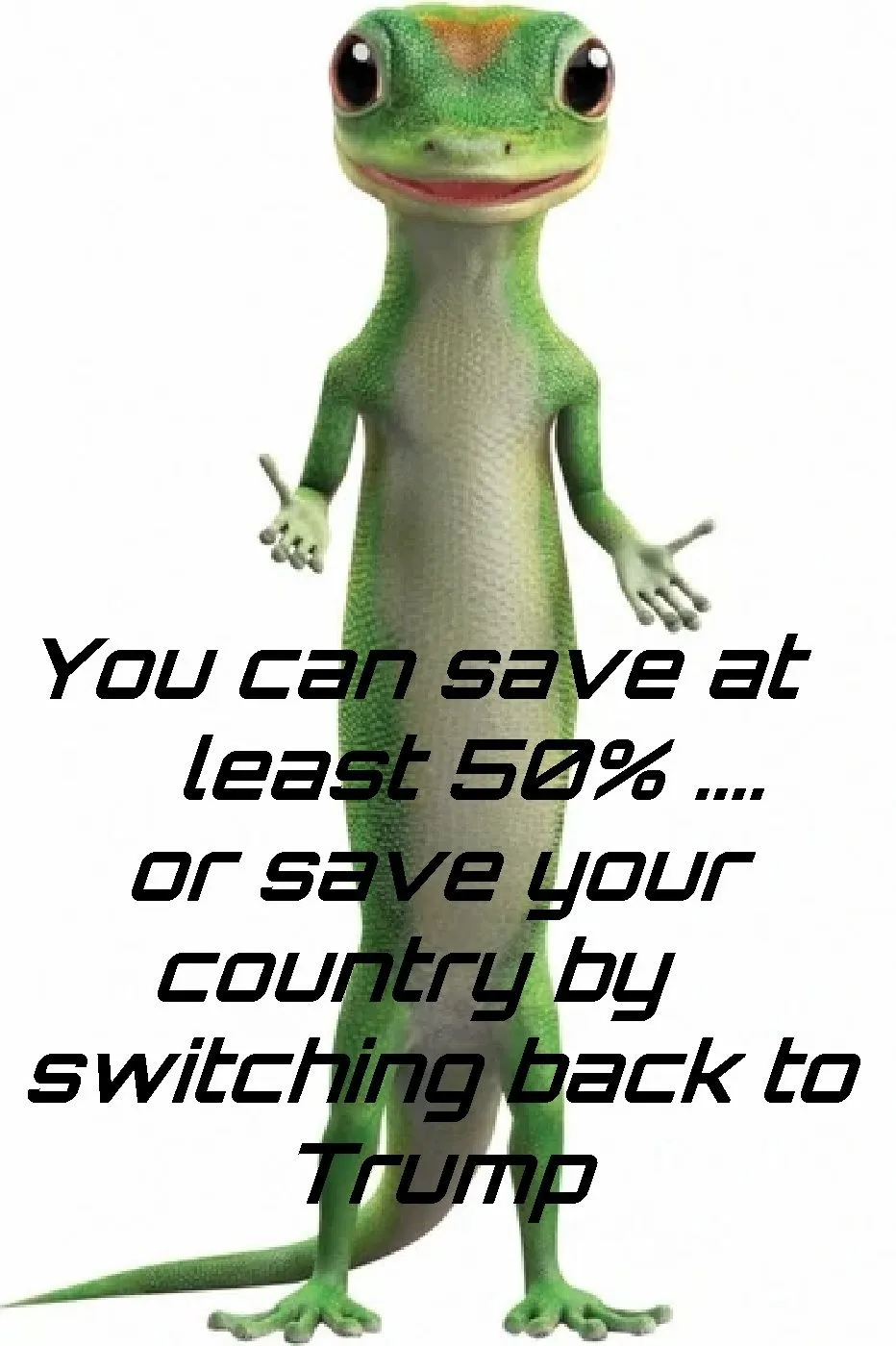 Geico Lizard.webp