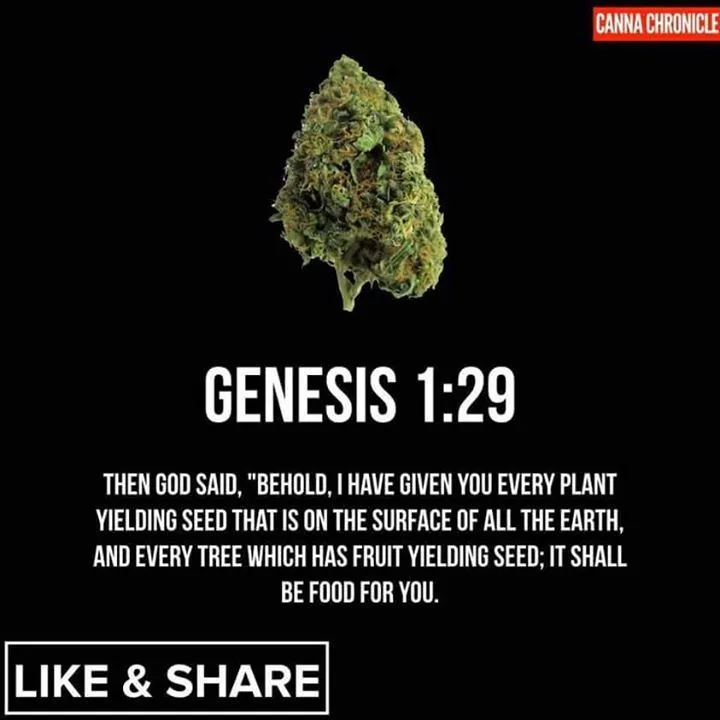 genesis 1-29.webp